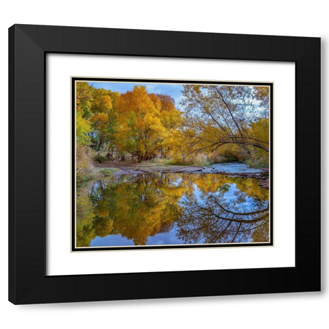 Verde River near Camp Verde-Arizona-USA Black Modern Wood Framed Art Print with Double Matting by Fitzharris, Tim