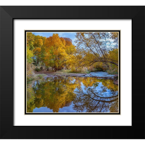 Verde River near Camp Verde-Arizona-USA Black Modern Wood Framed Art Print with Double Matting by Fitzharris, Tim