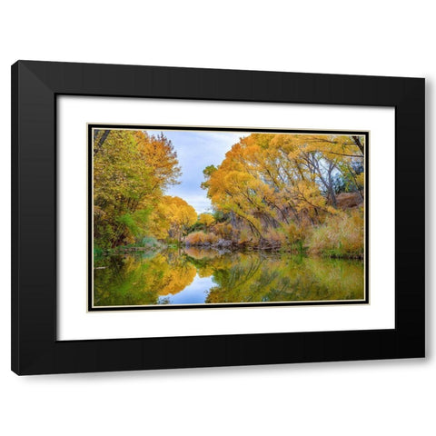 Verde River near Camp Verde-Arizona-USA Black Modern Wood Framed Art Print with Double Matting by Fitzharris, Tim