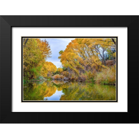 Verde River near Camp Verde-Arizona-USA Black Modern Wood Framed Art Print with Double Matting by Fitzharris, Tim