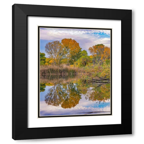 Verde River Valley-Lagoon at Dead Horse Ranch State Park-Arizona Black Modern Wood Framed Art Print with Double Matting by Fitzharris, Tim