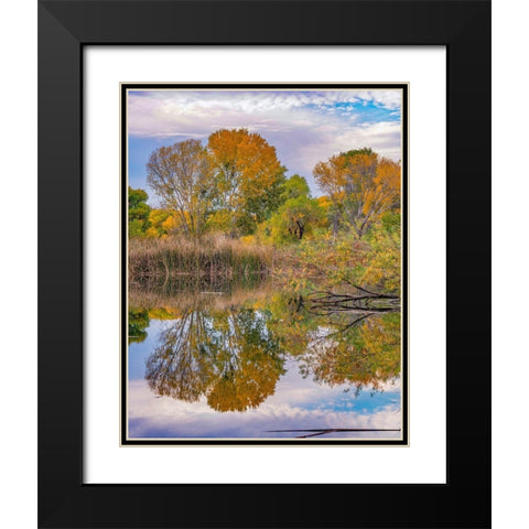 Verde River Valley-Lagoon at Dead Horse Ranch State Park-Arizona Black Modern Wood Framed Art Print with Double Matting by Fitzharris, Tim