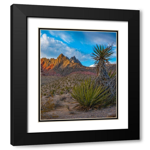 Red Rock Canyon National Conservation Area near Las Vegas-Nevada Black Modern Wood Framed Art Print with Double Matting by Fitzharris, Tim