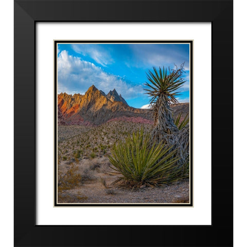 Red Rock Canyon National Conservation Area near Las Vegas-Nevada Black Modern Wood Framed Art Print with Double Matting by Fitzharris, Tim