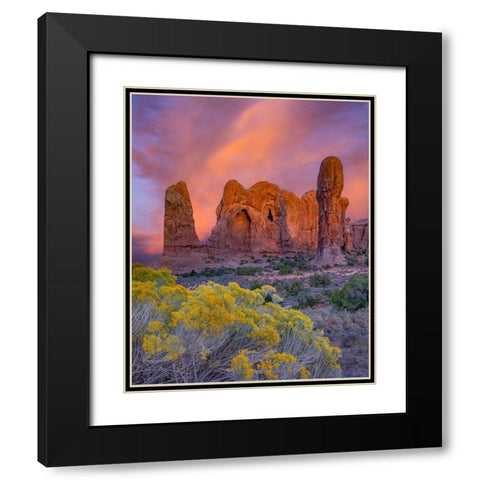 Parade of the Elephants sandstone formation-Arches National Park-Utah Black Modern Wood Framed Art Print with Double Matting by Fitzharris, Tim
