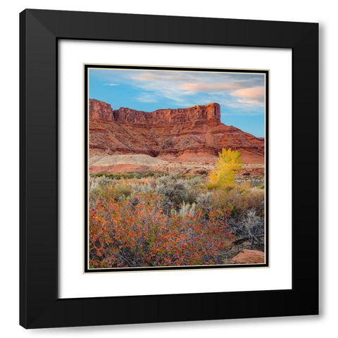 Porcupine Canyon on Colorado River near Castle Valley-Utah Black Modern Wood Framed Art Print with Double Matting by Fitzharris, Tim