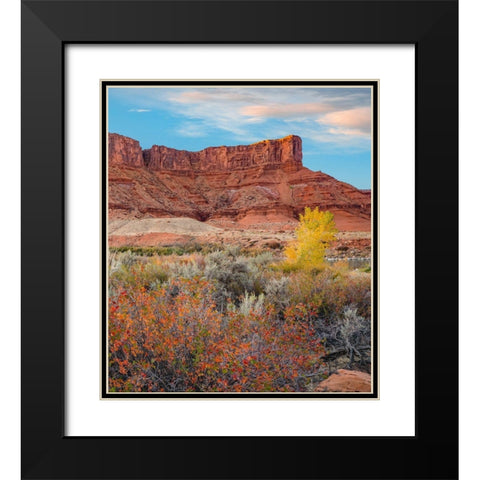 Porcupine Canyon on Colorado River near Castle Valley-Utah Black Modern Wood Framed Art Print with Double Matting by Fitzharris, Tim