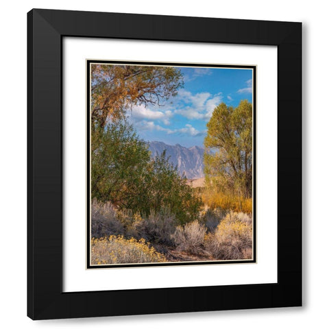 Sierra Nevada-Owens Valley-California-USA Black Modern Wood Framed Art Print with Double Matting by Fitzharris, Tim