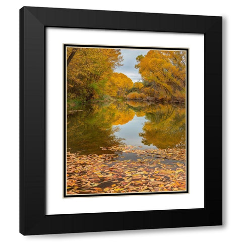 Verde River near Camp Verde-Arizona-USA Black Modern Wood Framed Art Print with Double Matting by Fitzharris, Tim