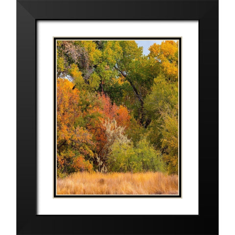 Verde River Valley near Camp Verde-Arizona-USA Black Modern Wood Framed Art Print with Double Matting by Fitzharris, Tim