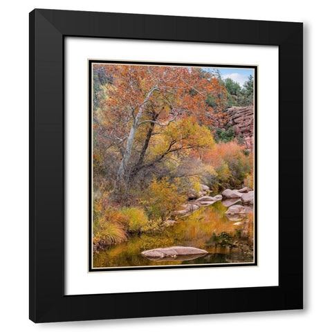 East Verde River-Arizona-USA Black Modern Wood Framed Art Print with Double Matting by Fitzharris, Tim