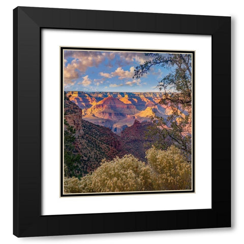 South Rim-Grand Canyon National Park-Arizona USA Black Modern Wood Framed Art Print with Double Matting by Fitzharris, Tim