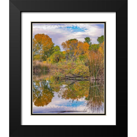 Dead Horse Ranch State Park-Arizona-USA Black Modern Wood Framed Art Print with Double Matting by Fitzharris, Tim