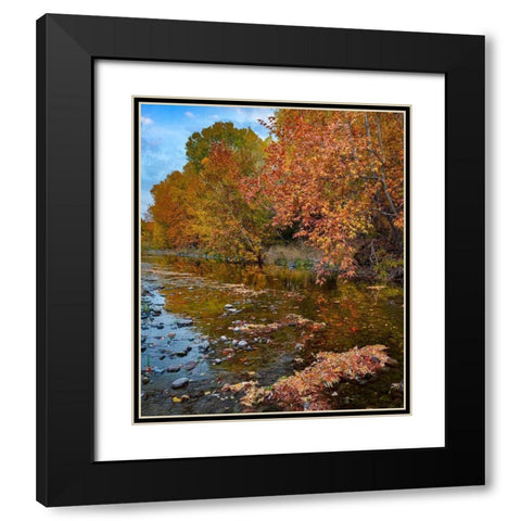 East Verde River-Arizona-USA Black Modern Wood Framed Art Print with Double Matting by Fitzharris, Tim