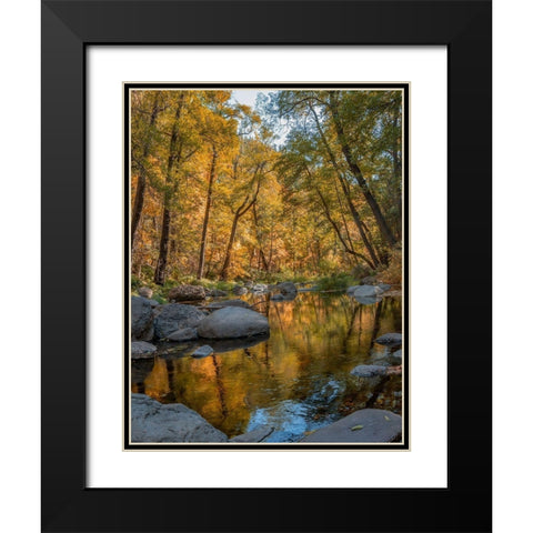 Oak Creek near Sedona-Arizona-USA Black Modern Wood Framed Art Print with Double Matting by Fitzharris, Tim