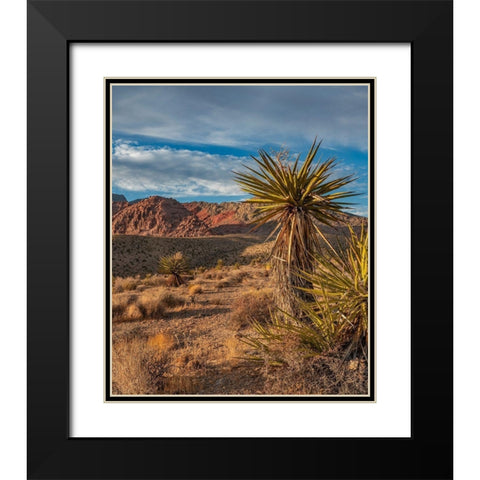 Red Rock Canyon National Conservation Area near Las Vegas-Nevada Black Modern Wood Framed Art Print with Double Matting by Fitzharris, Tim