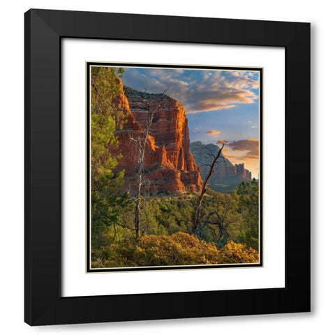 Coconino National Forest near Sedona-Arizona-USA Black Modern Wood Framed Art Print with Double Matting by Fitzharris, Tim