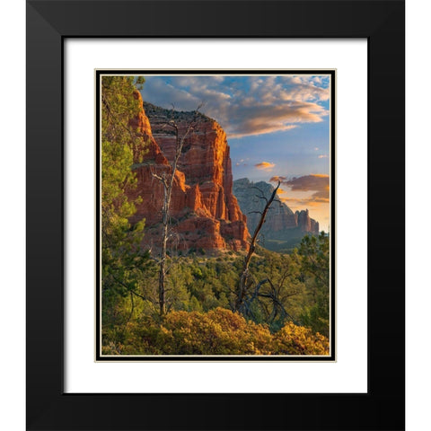 Coconino National Forest near Sedona-Arizona-USA Black Modern Wood Framed Art Print with Double Matting by Fitzharris, Tim