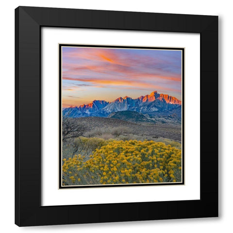 Sierra Nevada from Buttermilk Road near Bishop-California-USA Black Modern Wood Framed Art Print with Double Matting by Fitzharris, Tim