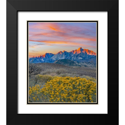 Sierra Nevada from Buttermilk Road near Bishop-California-USA Black Modern Wood Framed Art Print with Double Matting by Fitzharris, Tim