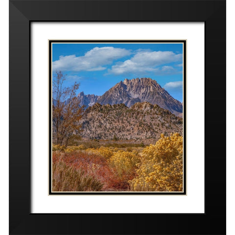 Sierra Nevada from Buttermilk Road near Bishop-California-USA Black Modern Wood Framed Art Print with Double Matting by Fitzharris, Tim