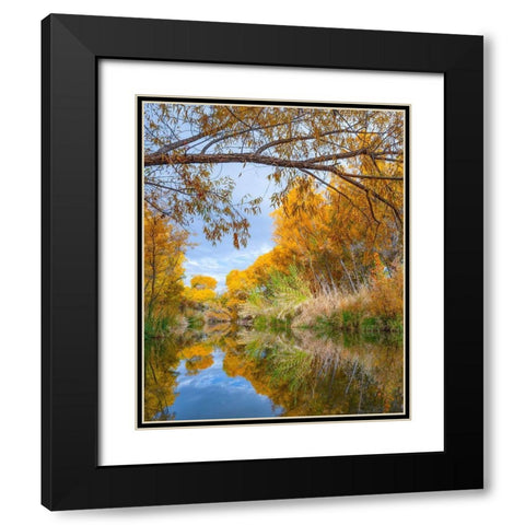 Dead Horse Ranch State Park-Arizona-USA Black Modern Wood Framed Art Print with Double Matting by Fitzharris, Tim