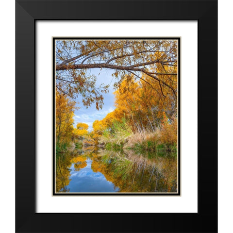 Dead Horse Ranch State Park-Arizona-USA Black Modern Wood Framed Art Print with Double Matting by Fitzharris, Tim