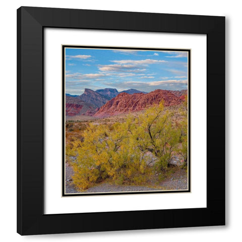 Calico Hills-Red Rock Canyon National Conservation Area-Nevada Black Modern Wood Framed Art Print with Double Matting by Fitzharris, Tim