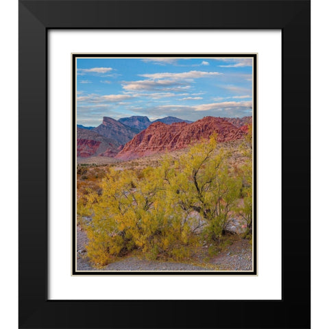 Calico Hills-Red Rock Canyon National Conservation Area-Nevada Black Modern Wood Framed Art Print with Double Matting by Fitzharris, Tim