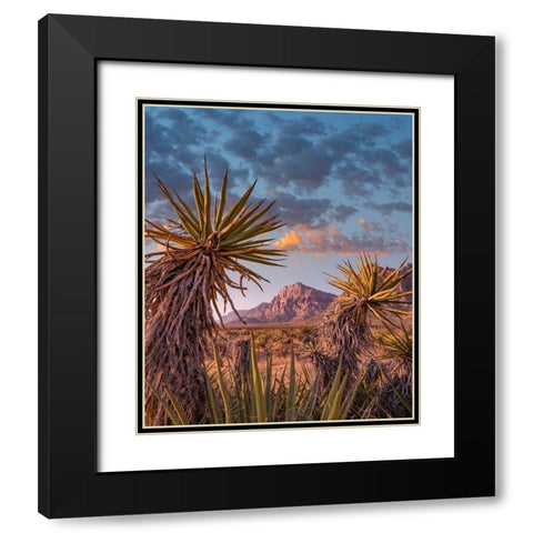 Red Rock Canyon National Conservation Area near Las Vegas-Nevada Black Modern Wood Framed Art Print with Double Matting by Fitzharris, Tim