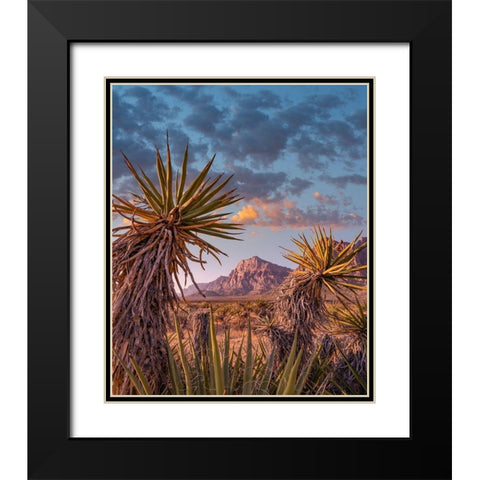 Red Rock Canyon National Conservation Area near Las Vegas-Nevada Black Modern Wood Framed Art Print with Double Matting by Fitzharris, Tim