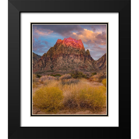 Spring Mountains-Red Rock Canyon National Conservation Area-Nevada Black Modern Wood Framed Art Print with Double Matting by Fitzharris, Tim