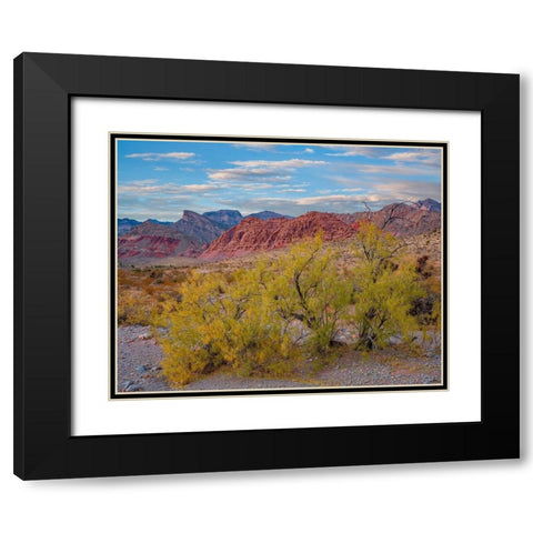 Spring Mountains-Red Rock Canyon National Conservation Area-Nevada Black Modern Wood Framed Art Print with Double Matting by Fitzharris, Tim