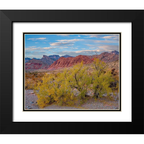 Spring Mountains-Red Rock Canyon National Conservation Area-Nevada Black Modern Wood Framed Art Print with Double Matting by Fitzharris, Tim