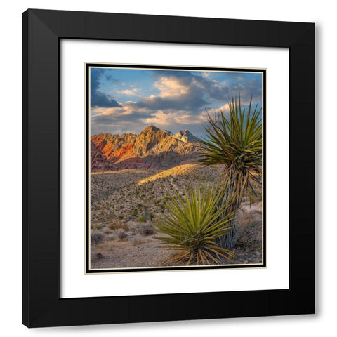 Red Rock Canyon National Conservation Area near Las Vegas-Nevada Black Modern Wood Framed Art Print with Double Matting by Fitzharris, Tim