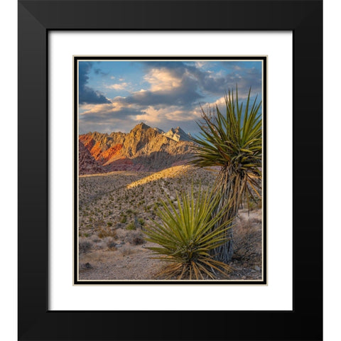 Red Rock Canyon National Conservation Area near Las Vegas-Nevada Black Modern Wood Framed Art Print with Double Matting by Fitzharris, Tim