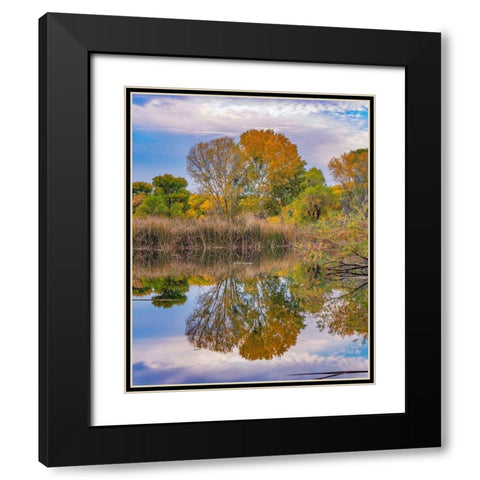 Dead Horse Ranch State Park-Arizona-USA Black Modern Wood Framed Art Print with Double Matting by Fitzharris, Tim