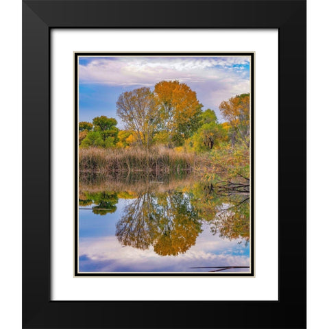 Dead Horse Ranch State Park-Arizona-USA Black Modern Wood Framed Art Print with Double Matting by Fitzharris, Tim