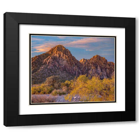 Willows and Wash-Red Rock Canyon-Nevada Black Modern Wood Framed Art Print with Double Matting by Fitzharris, Tim