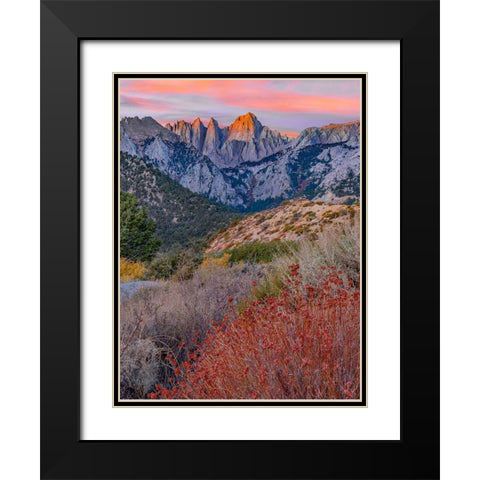 Mount Whitney-Sequoia National Park Inyo-National Forest-California Black Modern Wood Framed Art Print with Double Matting by Fitzharris, Tim