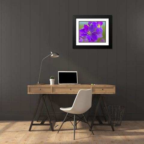 Delphinium Black Modern Wood Framed Art Print with Double Matting by Fitzharris, Tim