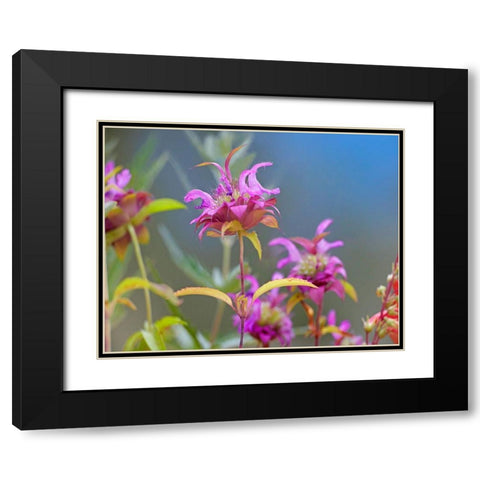 Lemon Mint Wildflowers Black Modern Wood Framed Art Print with Double Matting by Fitzharris, Tim