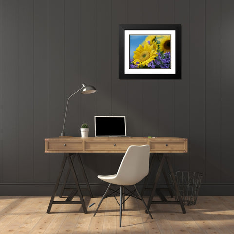 Sunflowers and Campanula Black Modern Wood Framed Art Print with Double Matting by Fitzharris, Tim