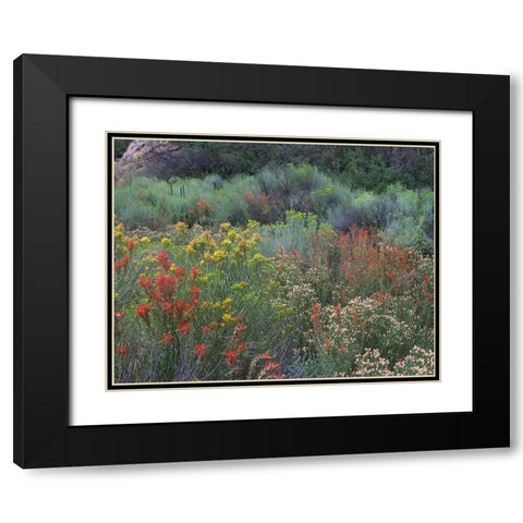 Indian Paintbrushes and Chamisas Black Modern Wood Framed Art Print with Double Matting by Fitzharris, Tim