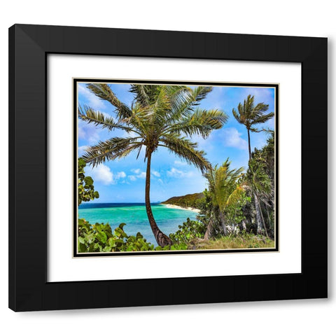 Coconut Trees and Camp Bay in Distance Black Modern Wood Framed Art Print with Double Matting by Fitzharris, Tim