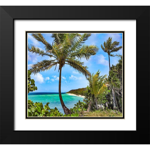 Coconut Trees and Camp Bay in Distance Black Modern Wood Framed Art Print with Double Matting by Fitzharris, Tim