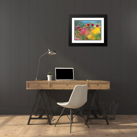 Indian Blanket and Wine-cups Black Modern Wood Framed Art Print with Double Matting by Fitzharris, Tim