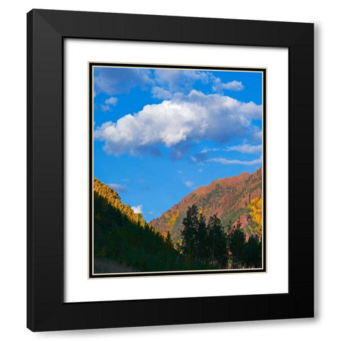 White River National Forest Black Modern Wood Framed Art Print with Double Matting by Fitzharris, Tim