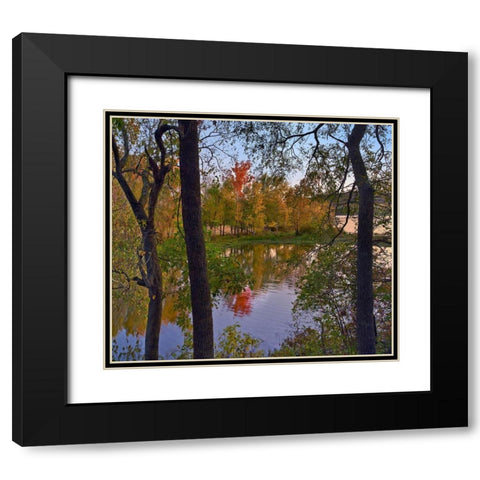 Oak Hickory Forest Black Modern Wood Framed Art Print with Double Matting by Fitzharris, Tim