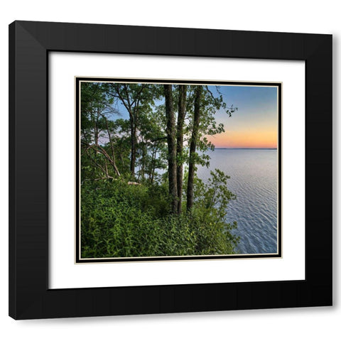 Oak Trees at Eisenhower Lake Black Modern Wood Framed Art Print with Double Matting by Fitzharris, Tim